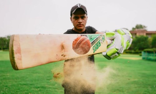 Family French Cricket