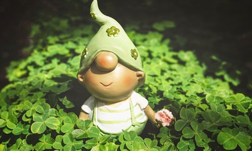 Gnomesall Gnome Extravaganza