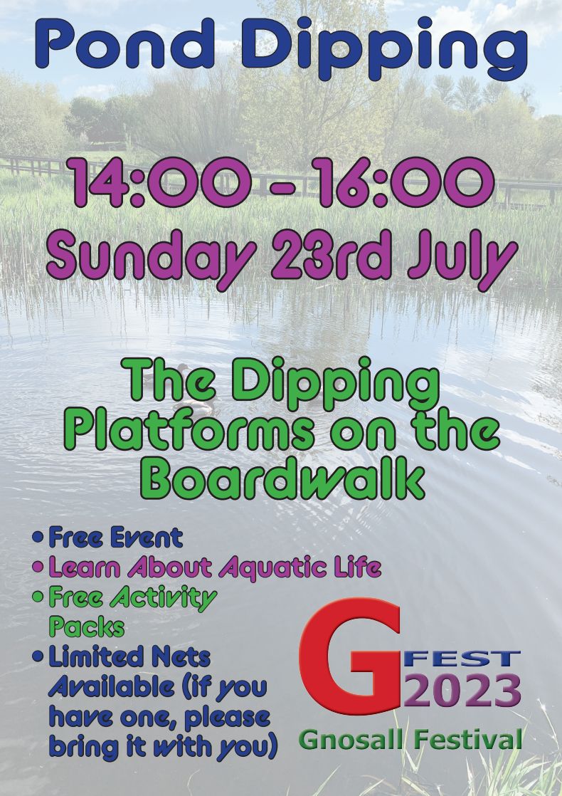 Pond Dipping at the Boardwalk Flyer